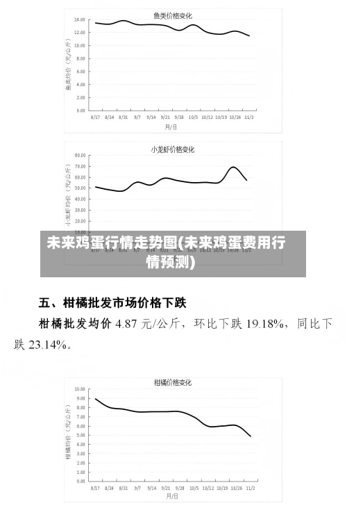 未来鸡蛋行情走势图(未来鸡蛋费用行情预测)