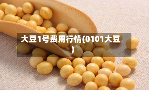 大豆1号费用行情(0101大豆)
