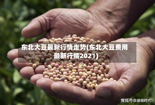 东北大豆最新行情走势(东北大豆费用最新行情2021)
