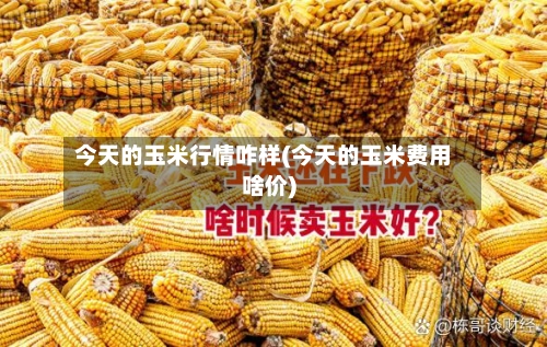 今天的玉米行情咋样(今天的玉米费用啥价)