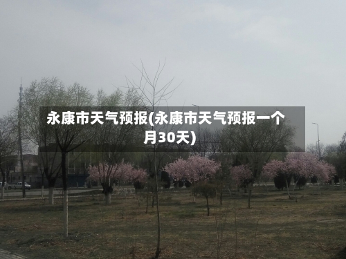 永康市天气预报(永康市天气预报一个月30天)