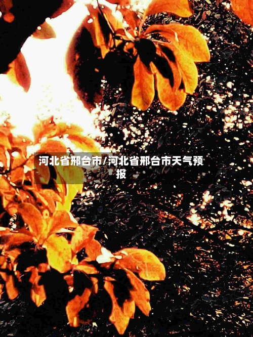 河北省邢台市/河北省邢台市天气预报