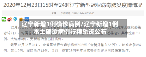 辽宁新增1例确诊病例/辽宁新增1例本土确诊病例行程轨迹公布