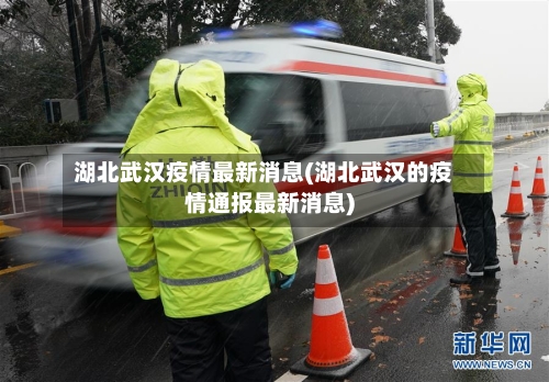 湖北武汉疫情最新消息(湖北武汉的疫情通报最新消息)
