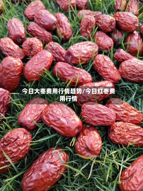 今日大枣费用行情趋势/今日红枣费用行情