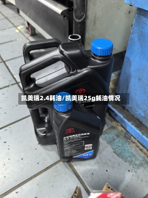 凯美瑞2.4耗油/凯美瑞25g蚝油情况