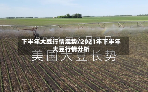 下半年大豆行情走势/2021年下半年大豆行情分析