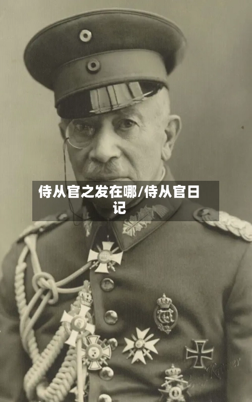 侍从官之发在哪/侍从官日记