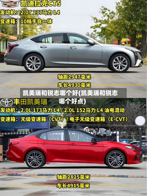 凯美瑞和锐志哪个好(凯美瑞和锐志哪个好点)