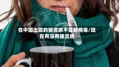 在中国出现的猪流感不是新病毒/现在有没有猪流感