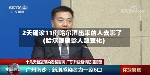 2天确诊11例哈尔滨出来的人去哪了(哈尔滨确诊人数变化)