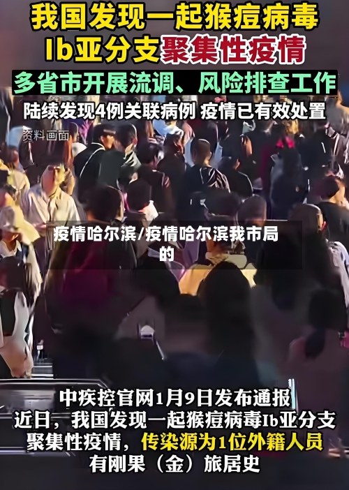 疫情哈尔滨/疫情哈尔滨我市局的