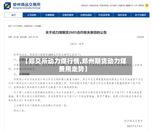 【郑交所动力煤行情,郑州期货动力煤费用走势】