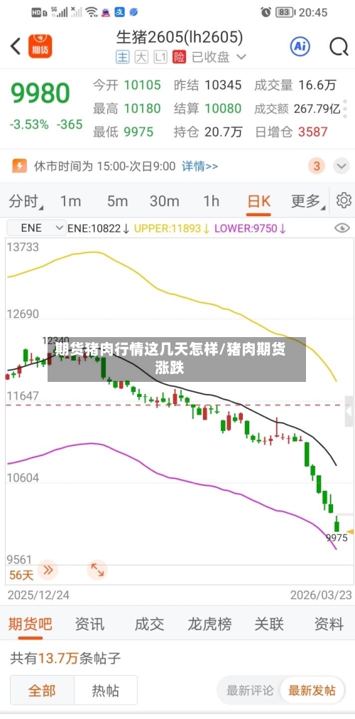 期货猪肉行情这几天怎样/猪肉期货涨跌
