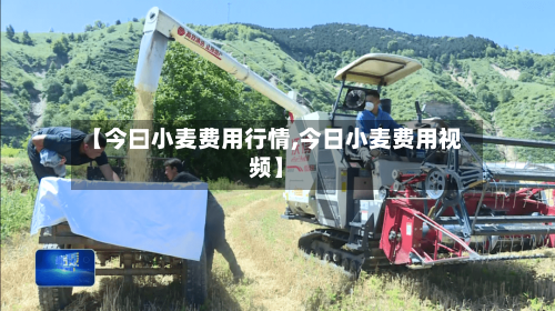【今曰小麦费用行情,今日小麦费用视频】