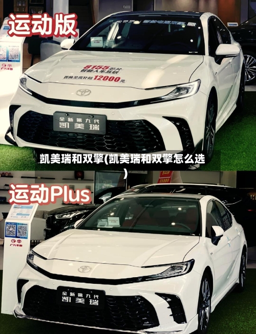 凯美瑞和双擎(凯美瑞和双擎怎么选)