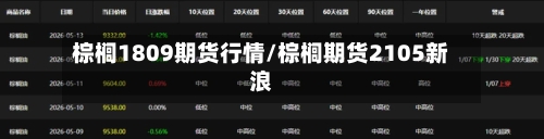 棕榈1809期货行情/棕榈期货2105新浪