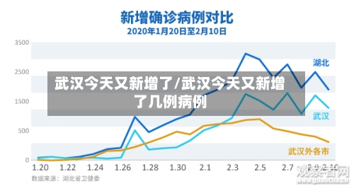 武汉今天又新增了/武汉今天又新增了几例病例