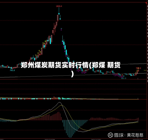 郑州煤炭期货实时行情(郑煤 期货)