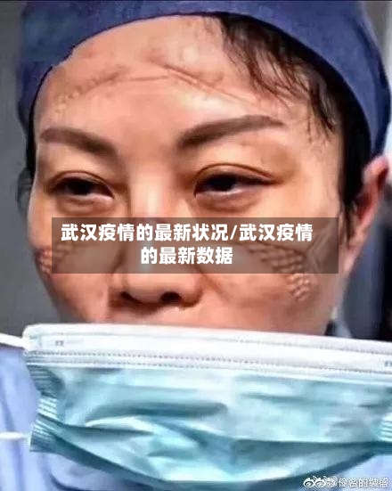 武汉疫情的最新状况/武汉疫情的最新数据
