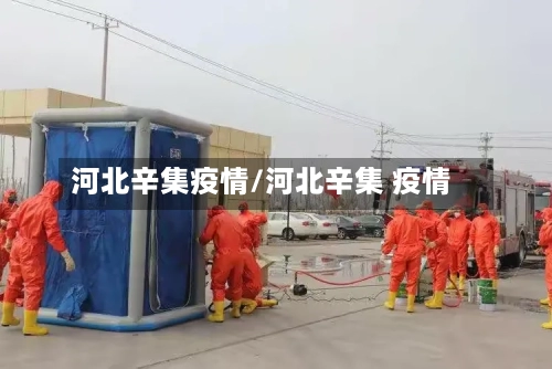 河北辛集疫情/河北辛集 疫情