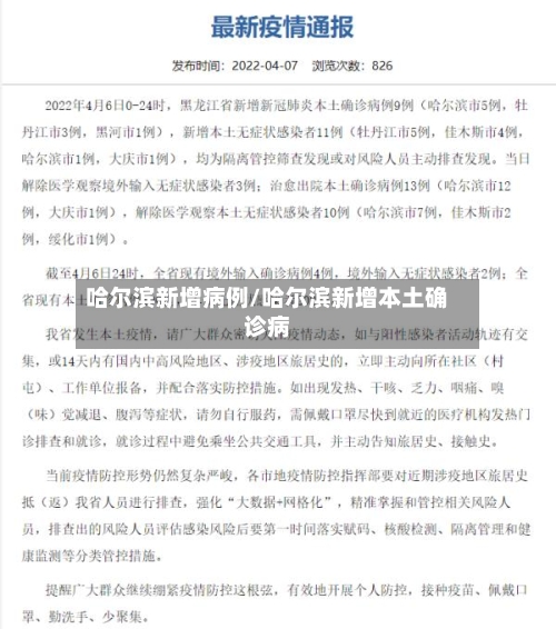 哈尔滨新增病例/哈尔滨新增本土确诊病