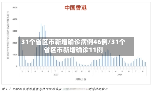 31个省区市新增确诊病例46例/31个省区市新增确诊11例