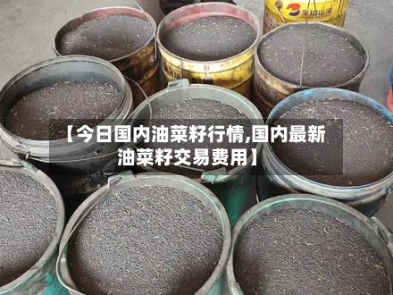 【今日国内油菜籽行情,国内最新油菜籽交易费用】