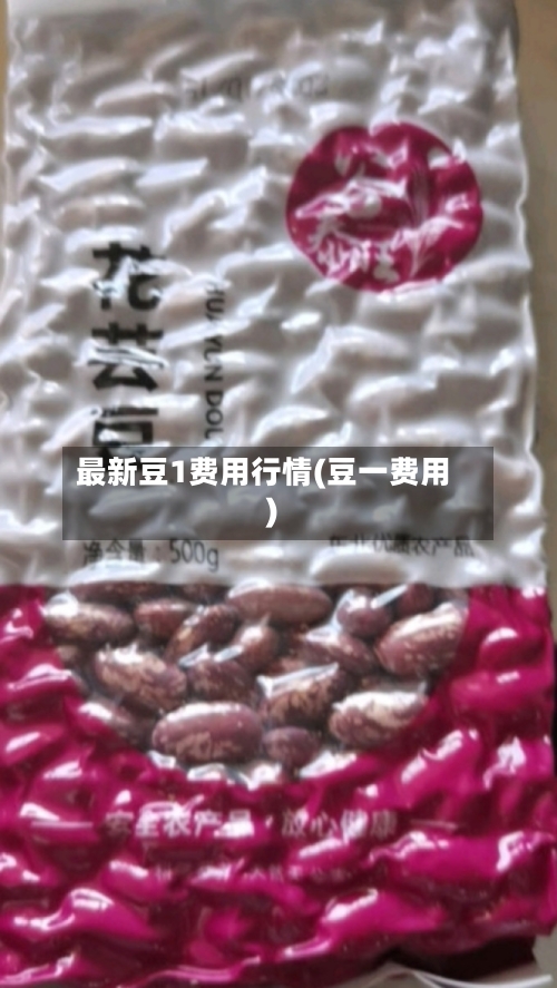 最新豆1费用行情(豆一费用)