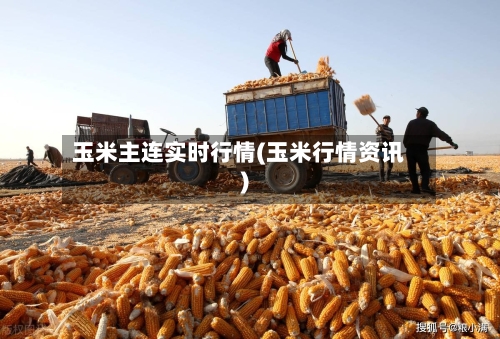 玉米主连实时行情(玉米行情资讯)
