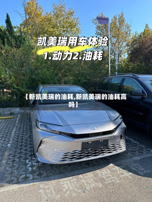 【新凯美瑞的油耗,新凯美瑞的油耗高吗】