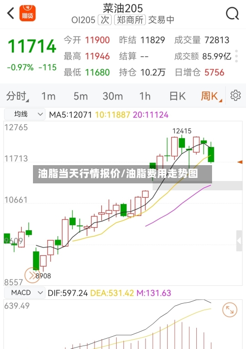 油脂当天行情报价/油脂费用走势图