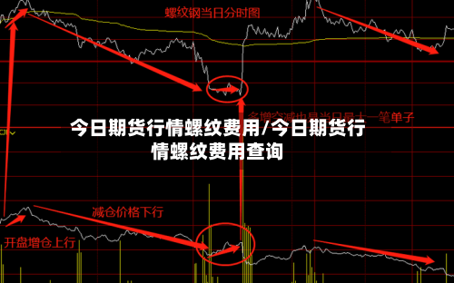 今日期货行情螺纹费用/今日期货行情螺纹费用查询