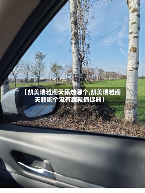 【凯美瑞雅阁天籁选哪个,凯美瑞雅阁天籁哪个没有颗粒捕捉器】