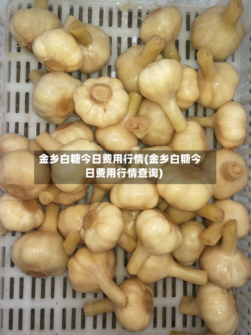 金乡白糖今日费用行情(金乡白糖今日费用行情查询)