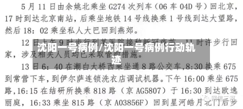 沈阳一号病例/沈阳一号病例行动轨迹