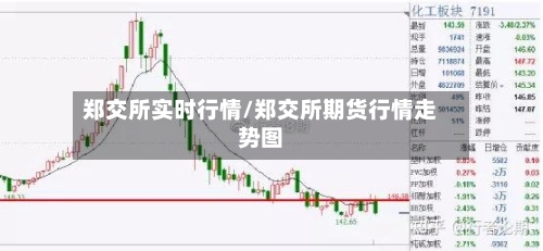 郑交所实时行情/郑交所期货行情走势图
