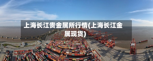 上海长江贵金属所行情(上海长江金属现货)