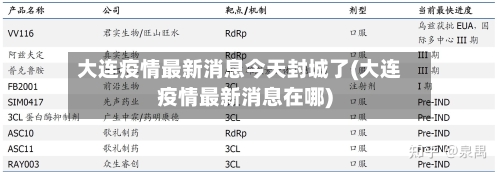 大连疫情最新消息今天封城了(大连疫情最新消息在哪)