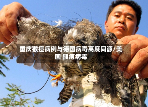 重庆猴痘病例与德国病毒高度同源/美国 猴痘病毒