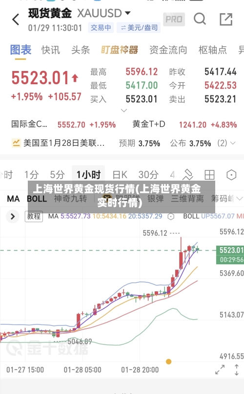 上海世界黄金现货行情(上海世界黄金实时行情)