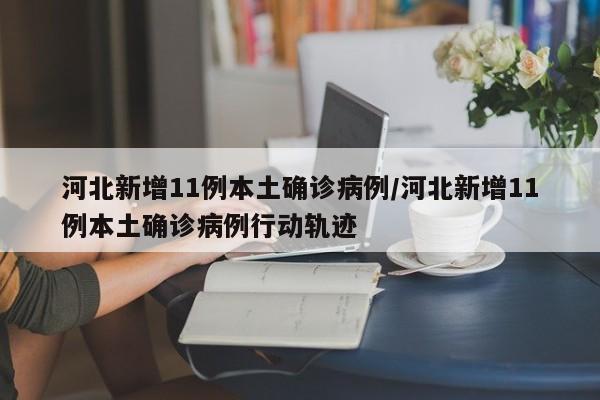 河北新增11例本土确诊病例/河北新增11例本土确诊病例行动轨迹