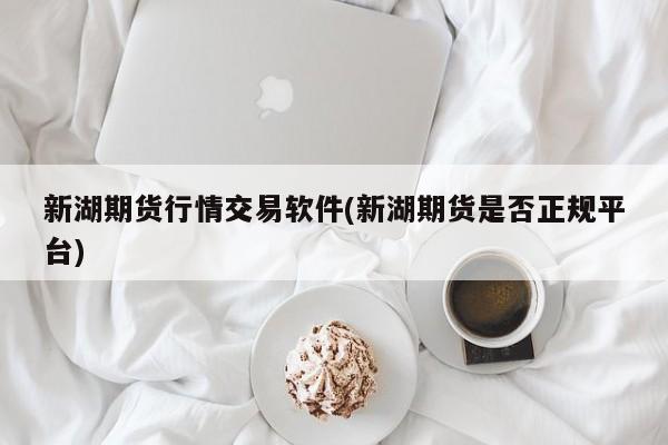 新湖期货行情交易软件(新湖期货是否正规平台)