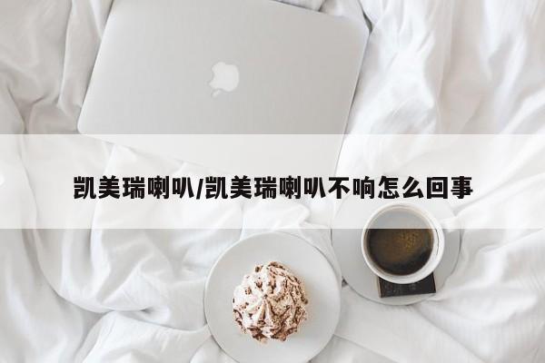 凯美瑞喇叭/凯美瑞喇叭不响怎么回事