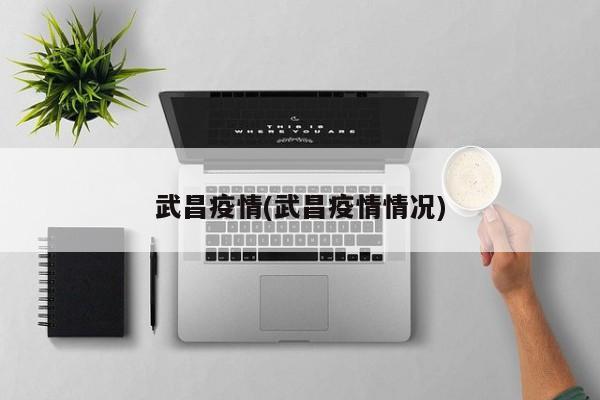 武昌疫情(武昌疫情情况)