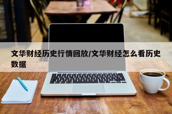 文华财经历史行情回放/文华财经怎么看历史数据
