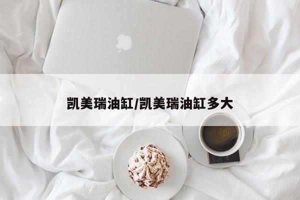 凯美瑞油缸/凯美瑞油缸多大