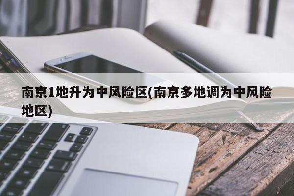南京1地升为中风险区(南京多地调为中风险地区)