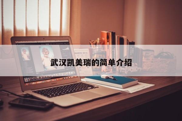 武汉凯美瑞的简单介绍